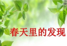 春天的发现（一场惊奇的探险之旅）