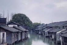 青春绚烂的花海之旅（与花为友，与青春同行）