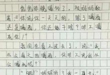 一个小学生的奋斗历程（一个小学生的奋斗历程）