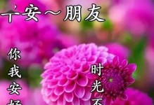 友谊之花（浇灌真诚，开放美丽）