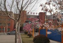 校园风光（绿意盎然，花香四溢）