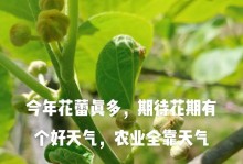 坚持不懈，努力拼搏（靠谁都不如靠自己）