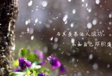 ThePersistentDreamer（OvercomingObstaclestoAchieveSuccess）