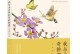 丛林探险：一次与自然亲密接触的旅程