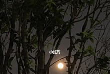 月圆人团圆（中秋节里，一家人的美好瞬间）