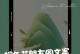 端午节的快乐