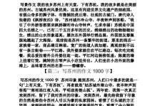 游古寺的奇遇（一位少年与古迹的情缘）