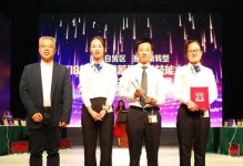我的梦想之路（追逐梦想的坚持与付出）