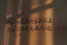 思念回忆（寻找心灵的慰藉）