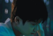 追随梦想的足迹（从平凡到不凡，走出自己的人生路）