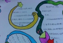 大自然的细节（探索自然界中的美妙之处）