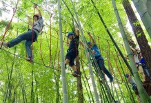 以风驰电掣地前进（奋斗不止，追逐自己的梦想）