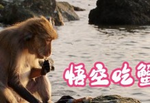 螃蟹大乱斗（一个关于吃螃蟹的故事）