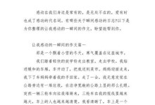 一个故事、一个人、一段经历（一个故事、一个人、一段经历）