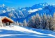 冬日里的温暖与美好（雪景、活动、美食、思考）