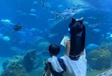 水土养人（以一方水土养一方人的故事）