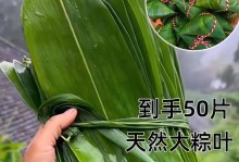 粽叶的香气（围绕着回忆的故事）