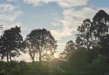 美丽校园——一个难忘的回忆