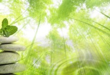 自然奥秘的魅力（揭开神秘的面纱）