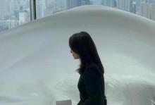 坚韧不拔（一个女孩的奋斗史）