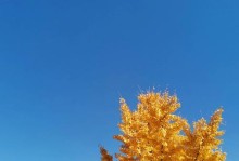 家乡秋色（带你走进我的故乡，感受四季之美）