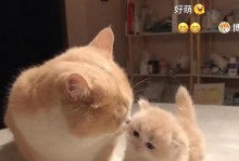 一做饭