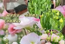 种子的奇妙力量（从落叶归根到丰收满园）