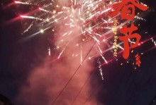 迎春福，乐享新年（一个温馨的家庭春节故事）