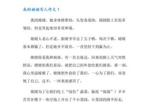 不放弃的力量（一个打工妹的奋斗史）