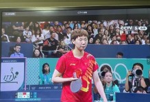 迷失森林（一场神秘失踪引发的惊悚之旅）