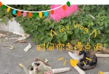 慢走，慢走，不要急（感受生活中的美好）